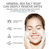 Dr Rashel Detoxifying Sea Salt Soap – 100 g