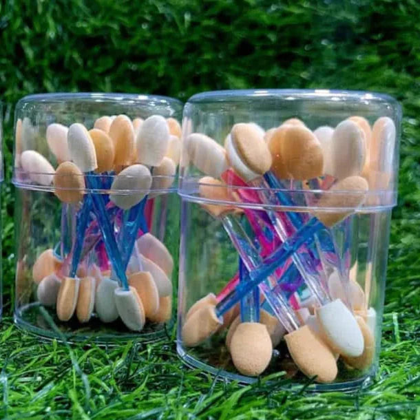 Eyeshade brush jar Each Cosmia.pk