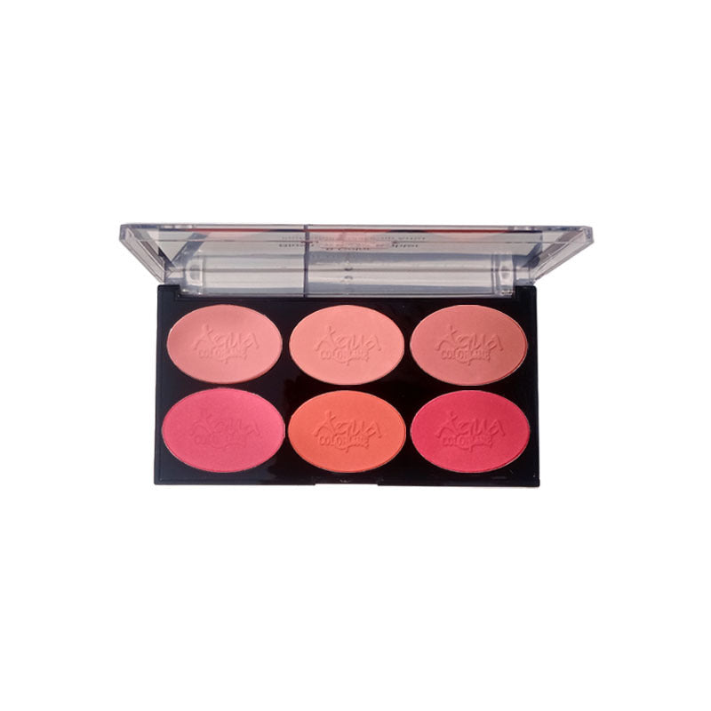 Aqua Color Line 6 Color Blush Palette Aqua Color Line
