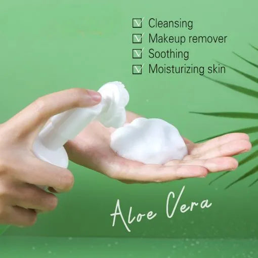 Dr-Rashel Aloe Vera Essence Cleansing Mousse - 120ml DR.Rashel