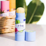 Stives Cleansing Stick Cactus Water & Hibiscus 45g