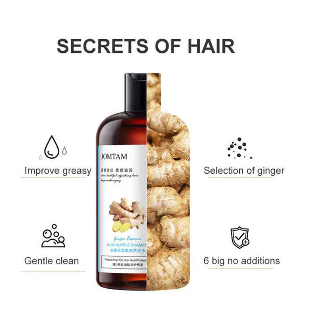 JOMTAM Ginger Herbal Shampoo Anti-Hair Loss Itching Dandruff Control - 400ml Jomtam