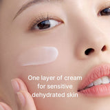 Celimax – Oil Control Moisturizing Cream - 80ml
