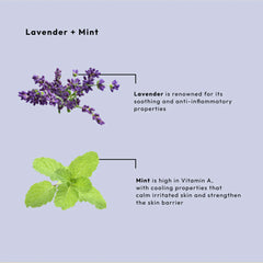 Be Care Love Lavender and Mint Calming Spa 4 Pcs Set Be Care Love