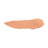 Color Institute Foundation Stick