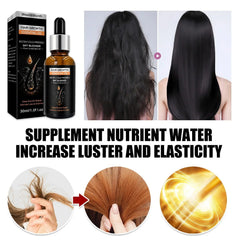 Meezab Arts Hair Growth Oil Meezab