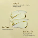 Torriden Solid In Cream - 70ml