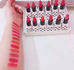 MAC 12 colour Nico Panda lipstick box Mac