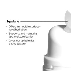 The Ordinary Squalane + Amino Acids Lip Balm - 15ml The Ordinary