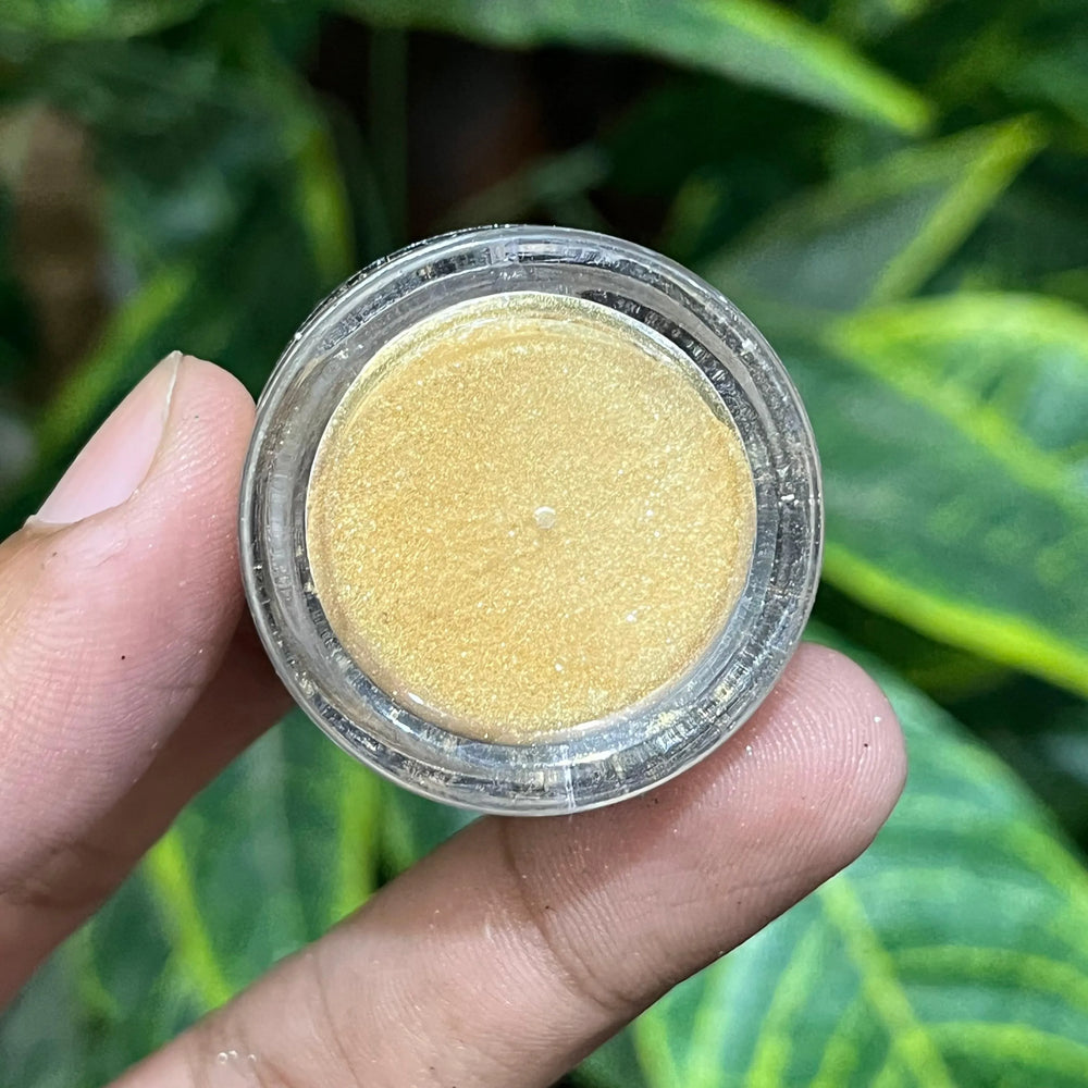 MAC Dust Eyeshadow mac