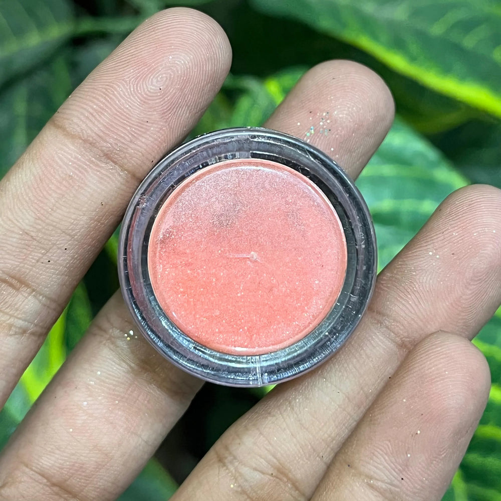 MAC Dust Eyeshadow mac