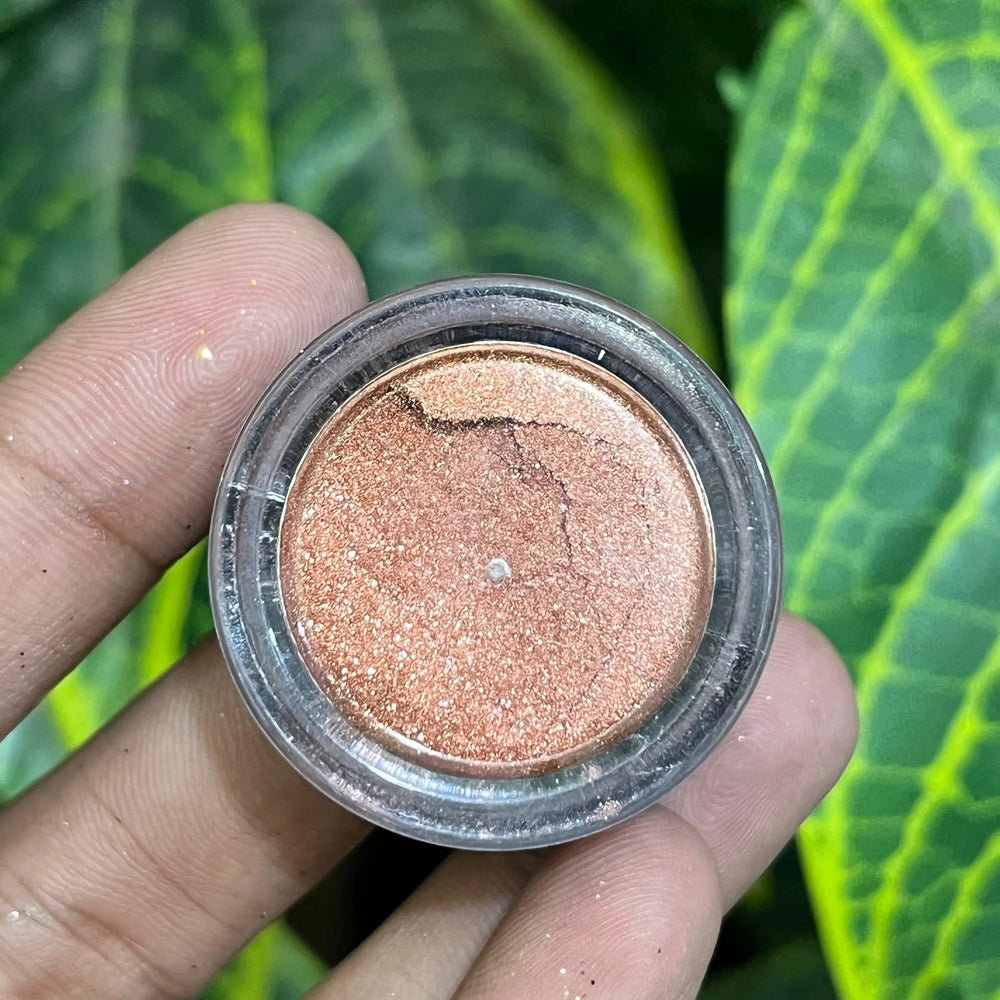 MAC Dust Eyeshadow mac