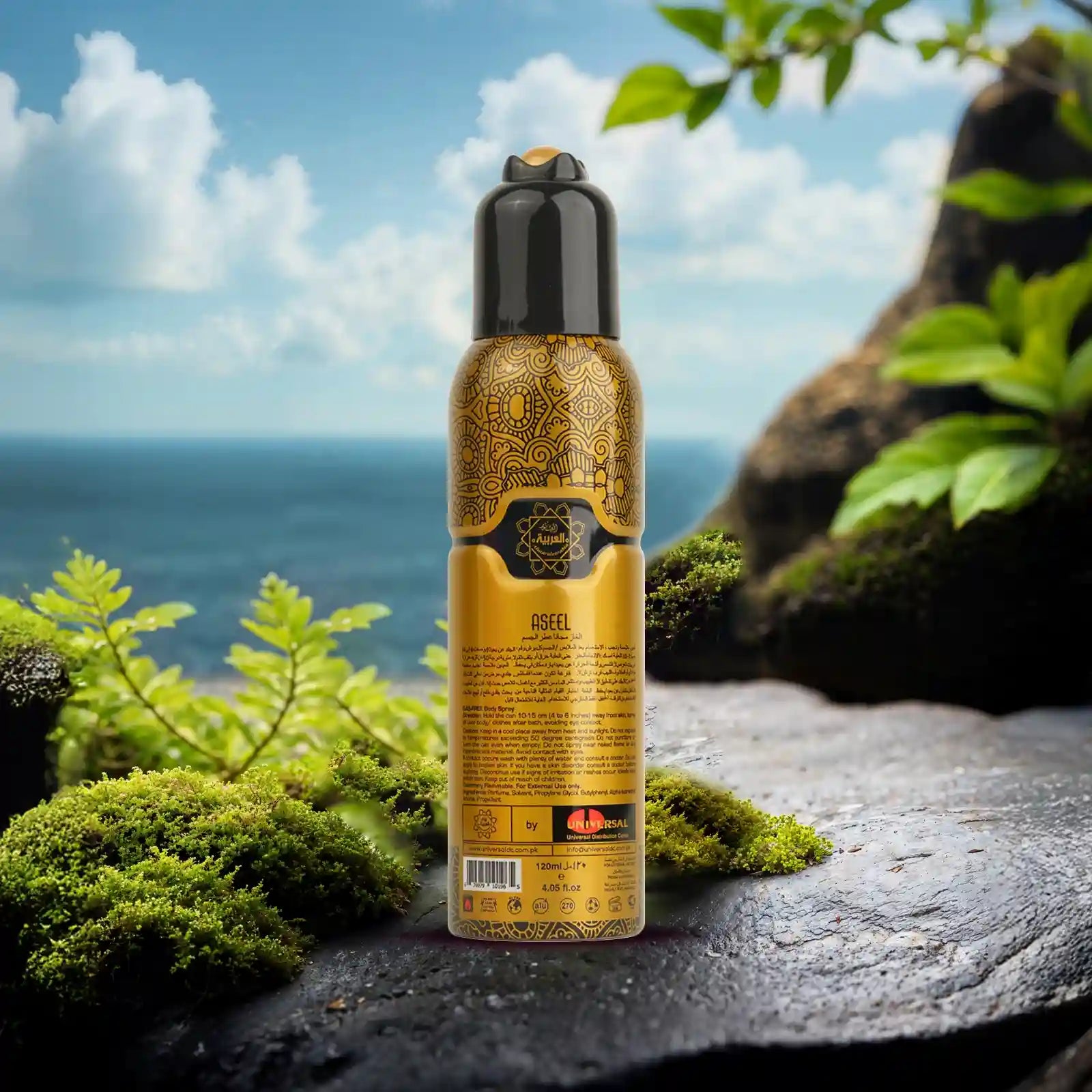 Al Arabia Aseel Body Spray - 120ml Al Arabia