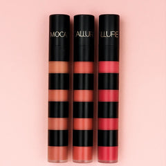 4 In 1 Mocallure Long Lasting Velvet Matte Lip Gloss Mocallure