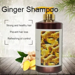 DR. HUISITER Ginger King Black & Bushy Shampoo Pulp 400ml Dr huisiter