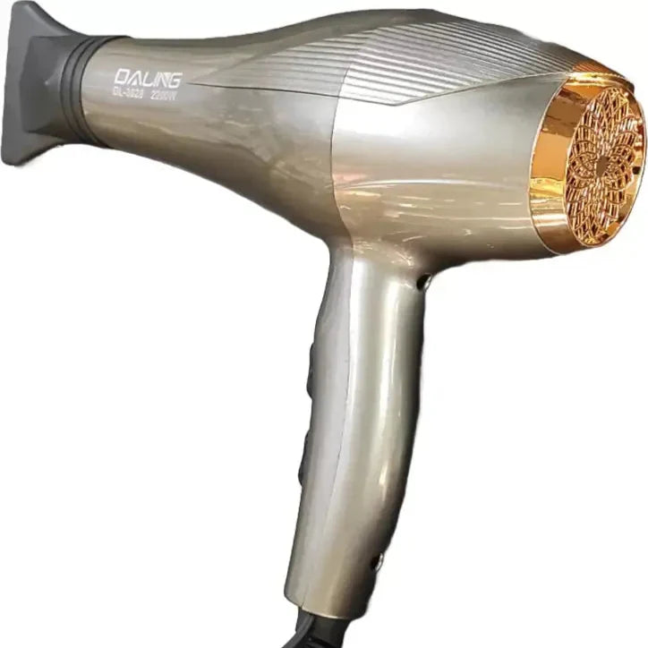 Daling DL-3028 Hair Dryer (2200 W, Silver) Daling