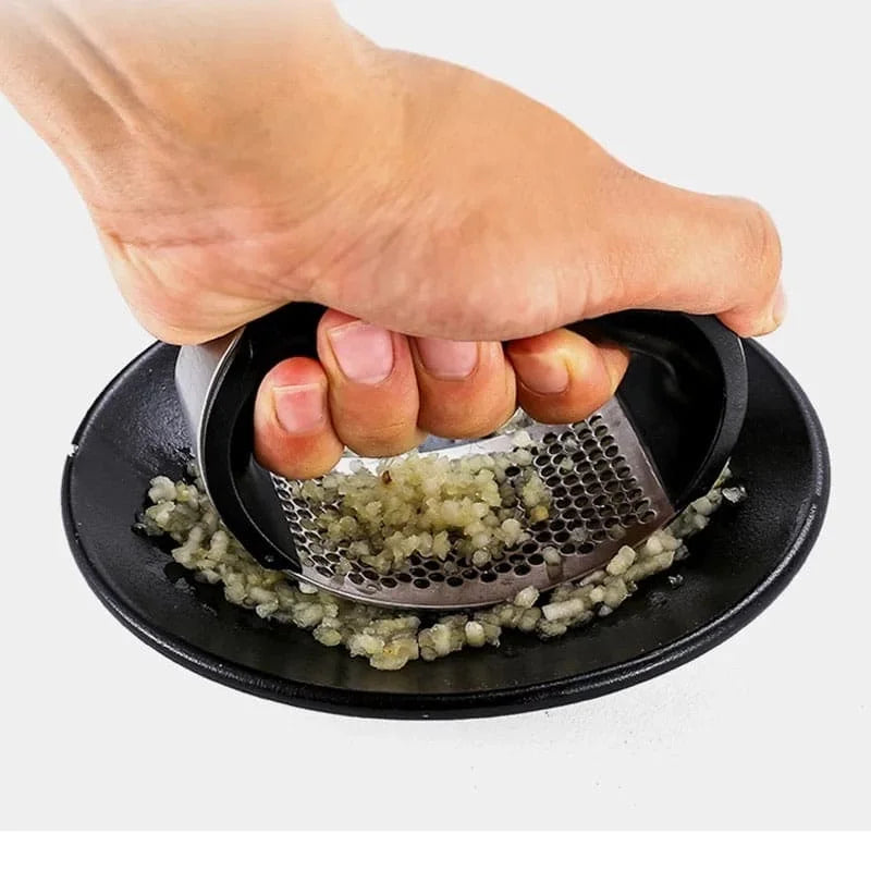 Stainless Steel Garlic Crusher, Garlic Grinder, Hand Held Garlic Press Cosmia.pk