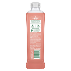 Radox Feel Detoxed Bath Soak with Acai Berry Scent - 500ml Radox