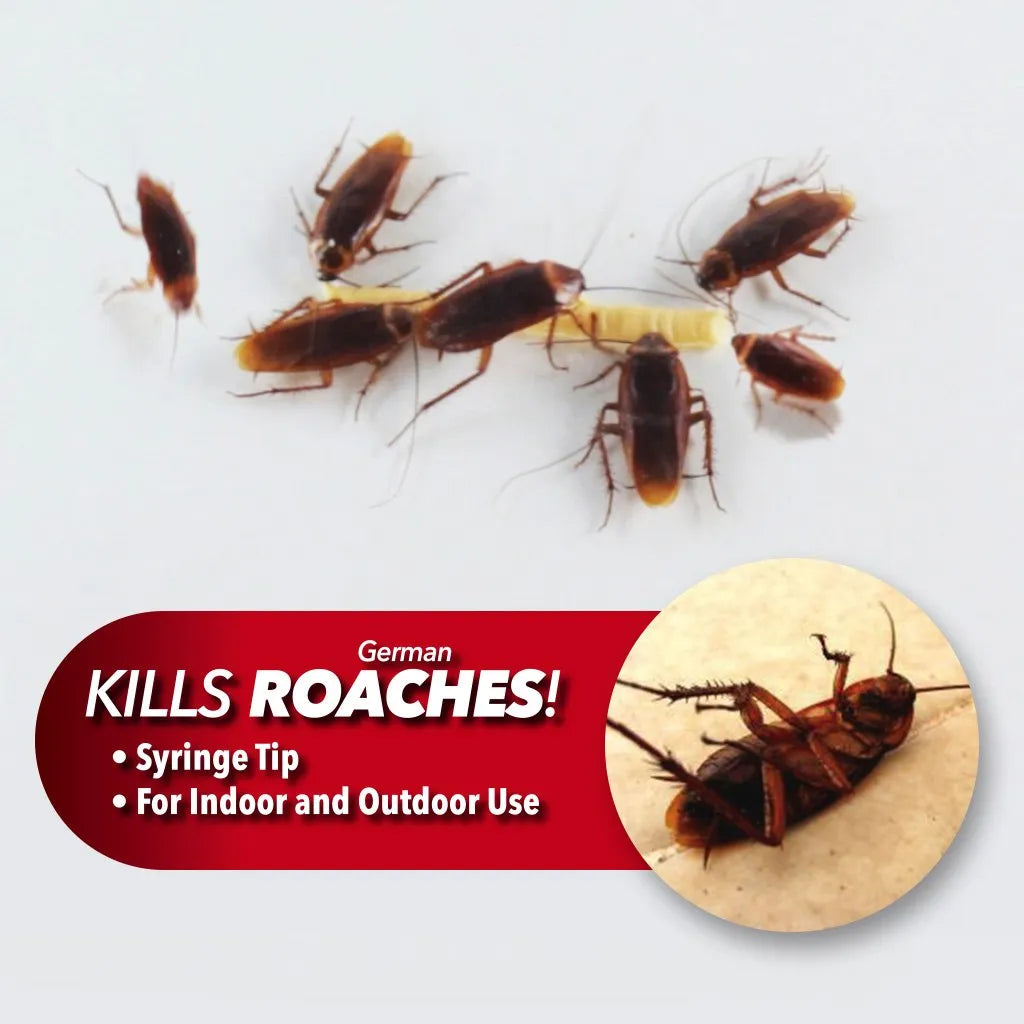 Roach Doctor Control Gel Cockroach Killing Gel - 5g Cosmia.pk