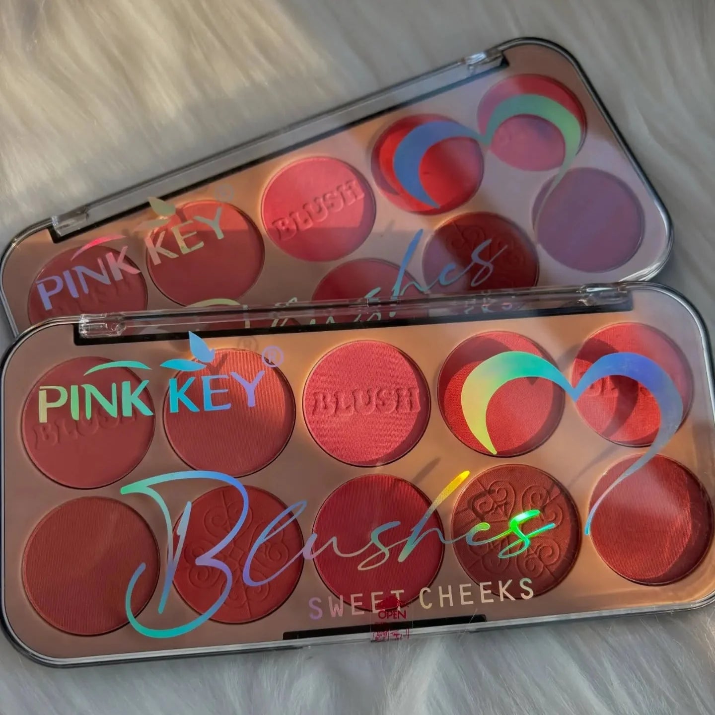 Pink Key Professional Blush Palette - Each Pink Key