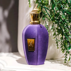 Xerjoff Laylati Eau de Parfum-100ml Laylati