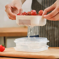 Mini Drain Storage Container with Lid – Pack of 4 Cosmia.pk