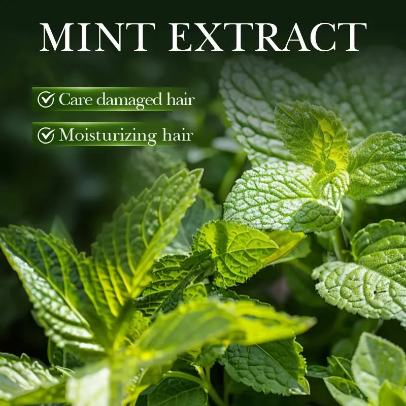 Sadoer Rosemary Mint Strengthens Repair Hair Oil - 55ml Sadoer