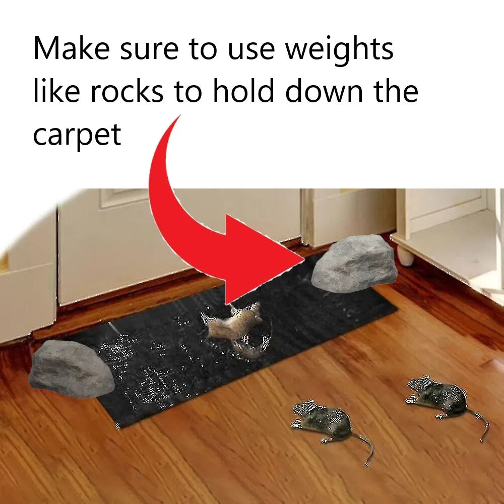 Super Glue Rat Magic Carpet Cosmia.pk