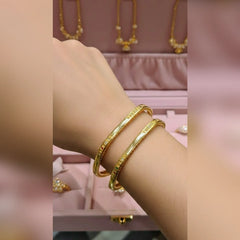 Rajwari 2Pcs Bangles Set Cosmia